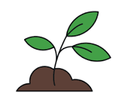 Plantation Drives